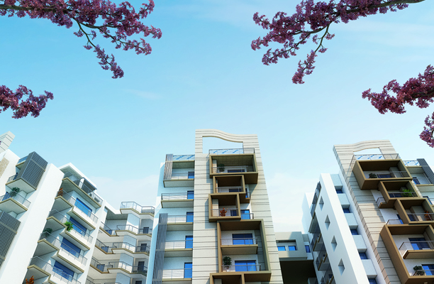 Orient Builders & Developers